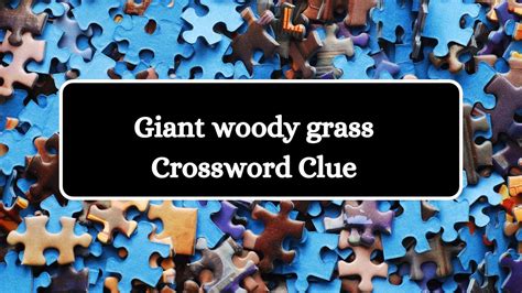 grass crossword clue|giant woody grass crossword clue.